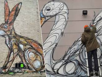 Indrukwekkende streetart duikt op in straatbeeld Hooglede