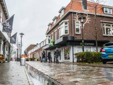 Koning geeft voorlopig groen licht voor gedwongen verkoop van grond voor Centrumplan Den Hoorn
