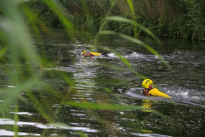 Brandweer redt ree uit het kanaal aan Stipdonk in Lierop.