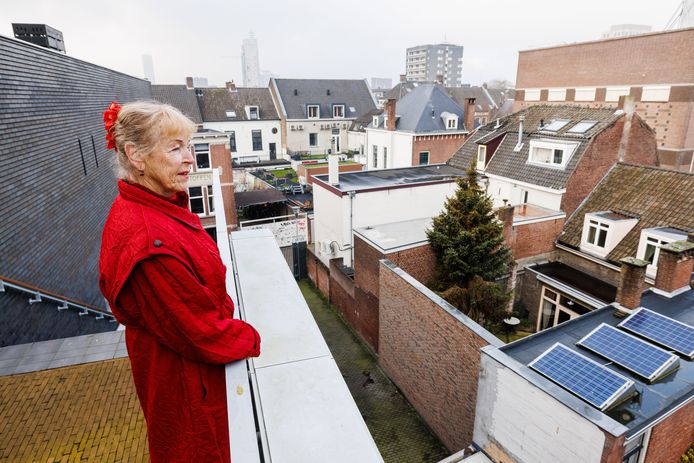 ,,Het is van de zotte.” Inez Tuerlings staat op de trap van het Vreedeplein-complex, in het huis met de boom in de achtertuin woont ze. Tussen het complex en haar achtertuin verrijst nog een woning.