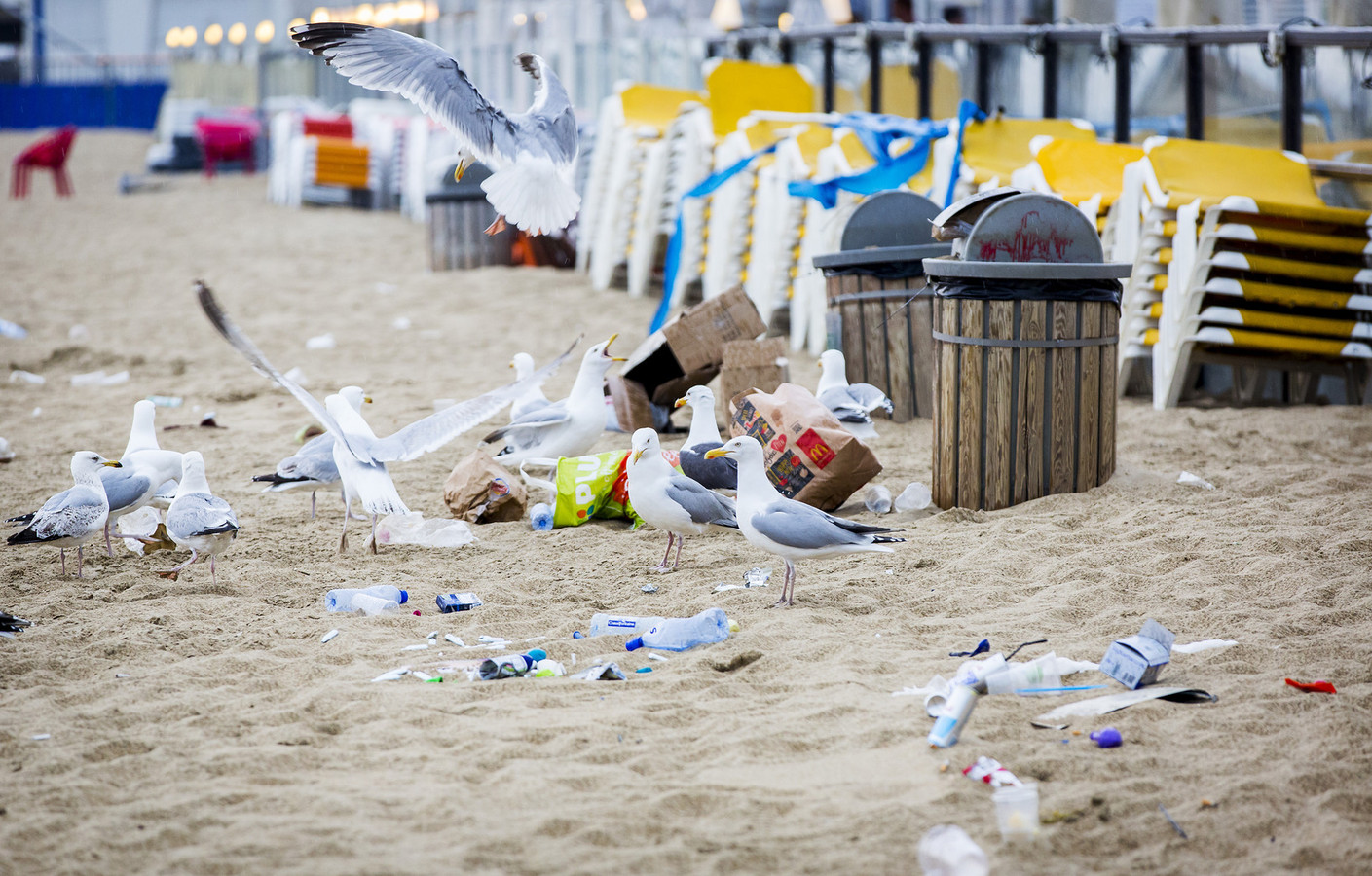 7000 kilo rotzooi opgeruimd van de stranden | Foto | ed.nl