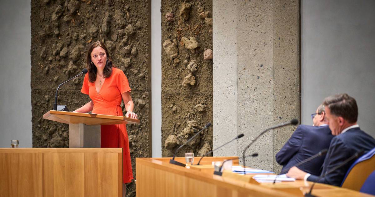 Stortinget vil ha nytt spor for Groningen som kompensasjon for gassutvinning |  Politikk