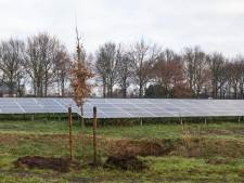 Seinen op groen, Energiek kan geld gaan werven voor enorm zonnepark