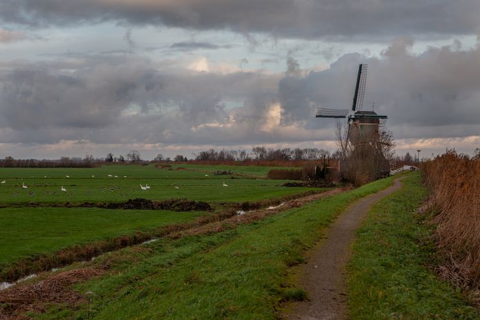 De molen van Spengen, een van de negentien molens van het Utrechts Landschap die voorlopig niet meer mag draaien omdat de roeden te slecht zijn.