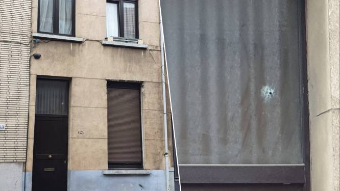 Een niet-ontplofte bom, een kogel door de ruit en twee ‘burgerwachten’ die opgepakt worden: overzicht van een woelige week in het Antwerpse drugsmilieu