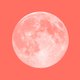 Op 16 april is het roze maan: dit merk je daarvan