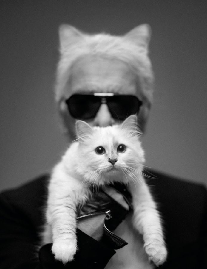 Karl Lagerfeld en Choupette.