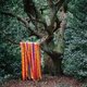 James Holden - The Animal Spirits