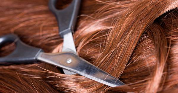 ROC-studentes uit Bornerbroek en Hengelo in race voor 5 Coiffure Awards
