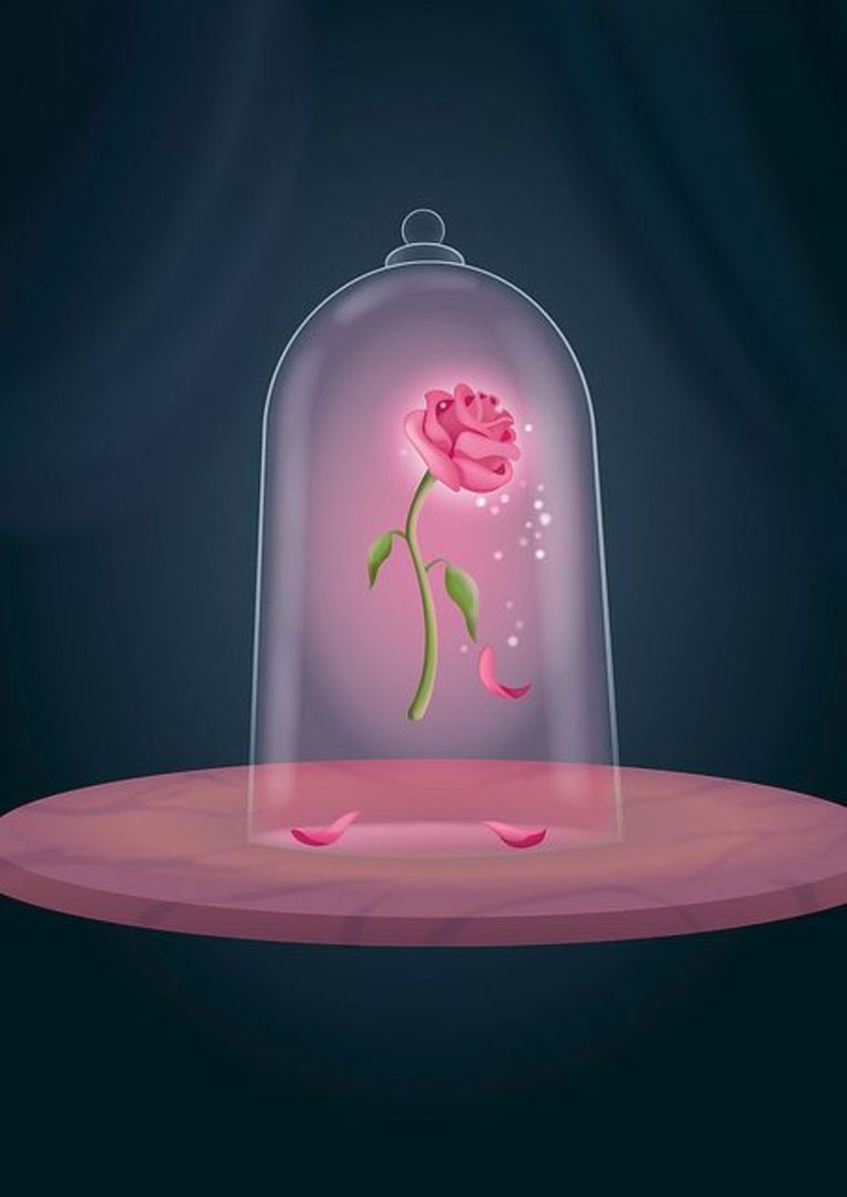 De roos is al sinds de oudheid de bloem van de liefde, zo erg dat je er