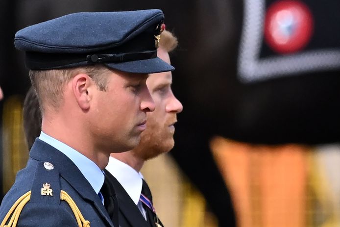 William en Harry liepen naast elkaar in de rouwstoet voor de Queen.