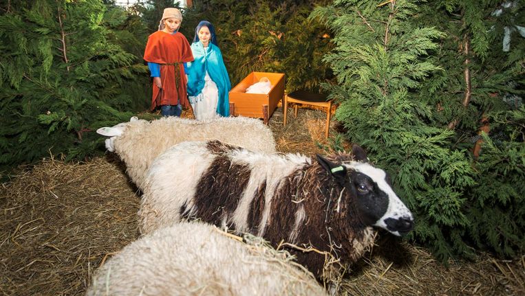 null Beeld Dingena Mol