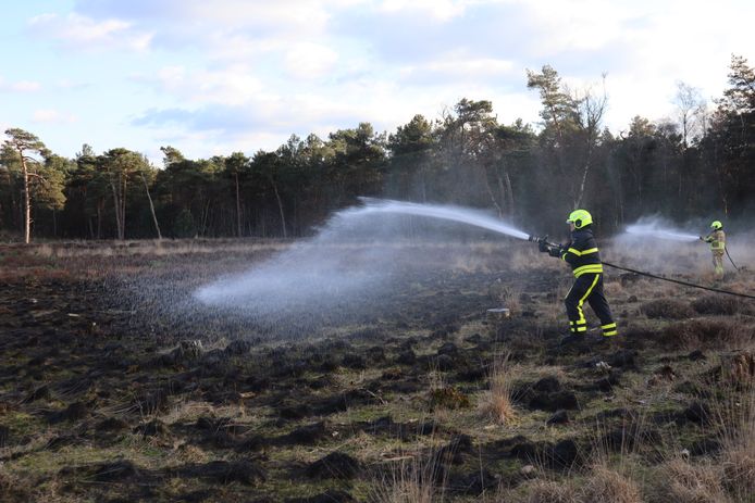 De brand op de Loonse en Drunense Duinen bij Kaatsheuvel.