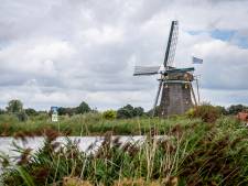Uitgekeken op je wandelrondje? Deze natuurgebieden buiten Rotterdam zijn prima per OV bereikbaar