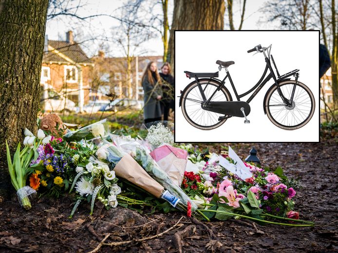 Bloemen op de plek waar Esmee werd gevonden, met rechts in het kader een soortgelijke foto van de fiets.