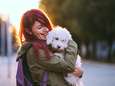 Droomjob alert: betaald worden om huisdieren te knuffelen en te verzorgen<br>