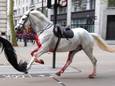 Een van de op hol geslagen paarden in Londen.
