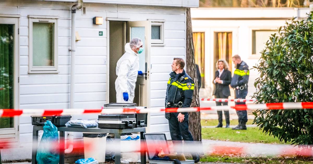 De ene moord is de andere niet. Achter de dood van een vrouw, gevonden in een chalet op een recreatiepark in Mierlo, blijkt een weerzinwekkend verhaal te zitten. Een macabere fantasie kostte haar het leven:.