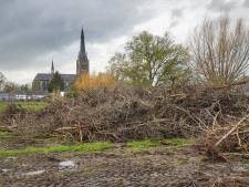 En wég zijn de kersenbomen, waar zo vaak om geknokt werd: ‘Het is niet meer aan mij’