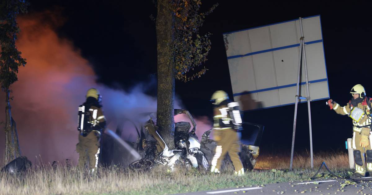 22-jarige automobilist uit Den Ham komt om bij botsing met boom bij Lemele - De Stentor