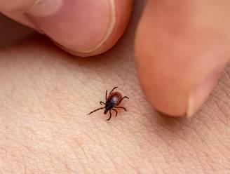 Nieuw onderzoek ziekte van Lyme; dringend mensen nodig met tekenbeet en rode ring of vlek