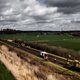 Treinverkeer Den Bosch - Boxtel hervat na overlast door dassen