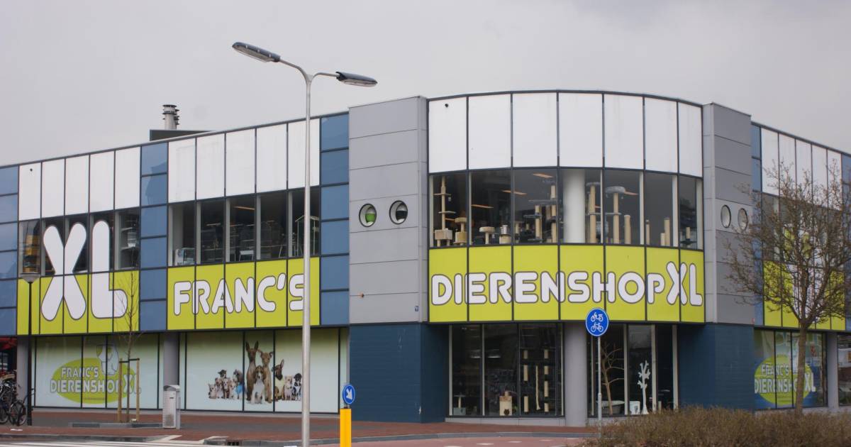dierenzaak wijkt voor nieuwbouwproject kolkplein voorne putten ad nl