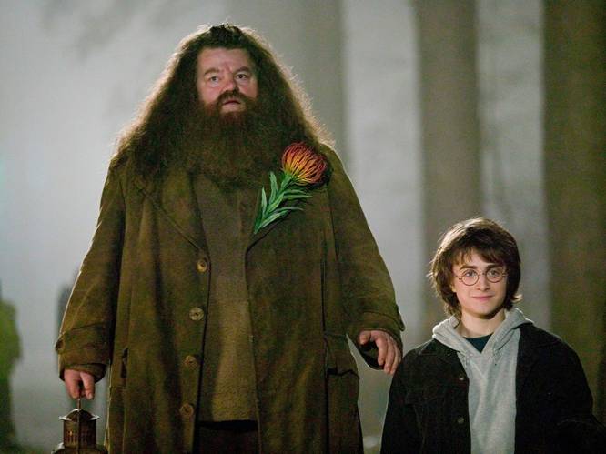Hagrid uit ‘Harry Potter’ zit in een rolstoel