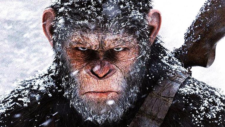 War for the Planet of the Apes. Beeld  