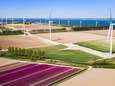 Zes windmolens Energiepark Haringvliet Zuid leveren eind dit jaar de eerste stroom