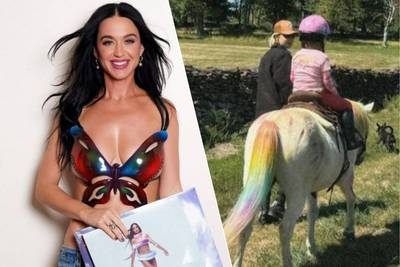 CELEB 24/7. Katy Perry introduces album in butterfly bra and birthday daughter of Gigi Hadid and Zayn Malik rides rainbow horse