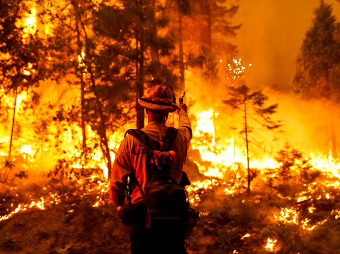 Brandweerman omgekomen bij bestrijden bosbranden Californië