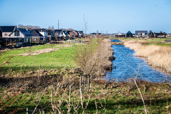 Plan voor veertien tiny houses in Langeraar | Nieuwkoop | AD.nl