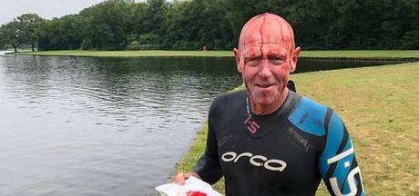 Agressieve knobbelzwaan gevangen en uitgezet: ‘Dit nam extreme vormen aan’