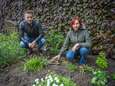 René en Karin zijn radeloos: wie jatte het unieke kruis van het graf van hun ouders in Zwolle?