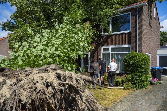 Aan de Azaleastraat in Heerenveen zijn meerdere bomen op woningen gevallen
