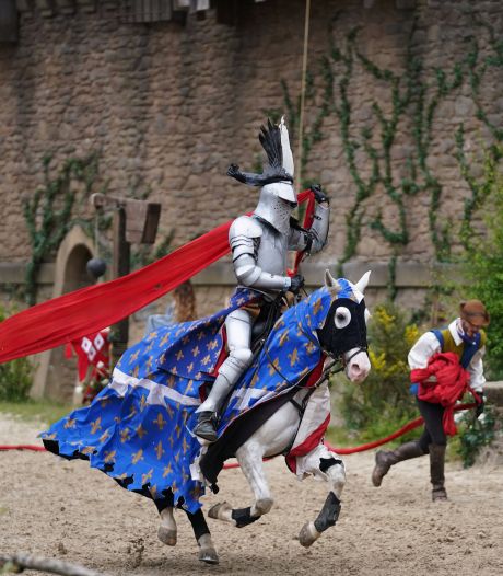 Animaux battus ou tués violemment: des anciens salariés racontent les dérives du Puy du Fou
