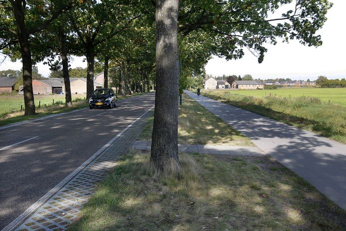 Het opknappen van de Kerkendijk tussen SomerenHeide en Someren gaat ten koste van de bomen tussen fietspad en rijbaan.