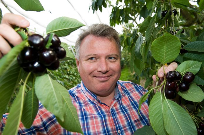 Aart Blom in zijn boomgaard in Wadenoijen.