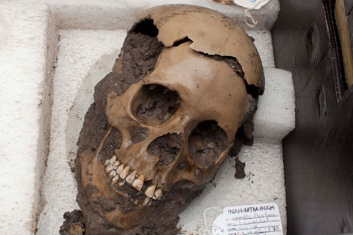 Een van de 150 schedels die de politie in 2012 aantrof in de Mexicaanse staat Chiapas.