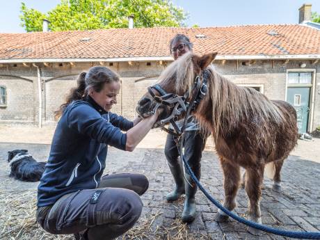 ‘Dit wordt nog z’n dood’: Pony Murphy (43) kapot van verdriet nu vriendin Farfalla (32) in beslag genomen is