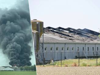 Brand vernielt helft van moderne varkensstal: 130 dieren overleven het niet