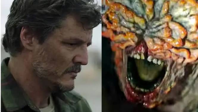 Hitserie Last of us maakt tongen los door schimmel die écht bestaat: ‘Maar geen gevaar voor ons’