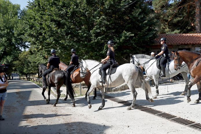 Politieagenten te paard assisteren in de zoektocht.