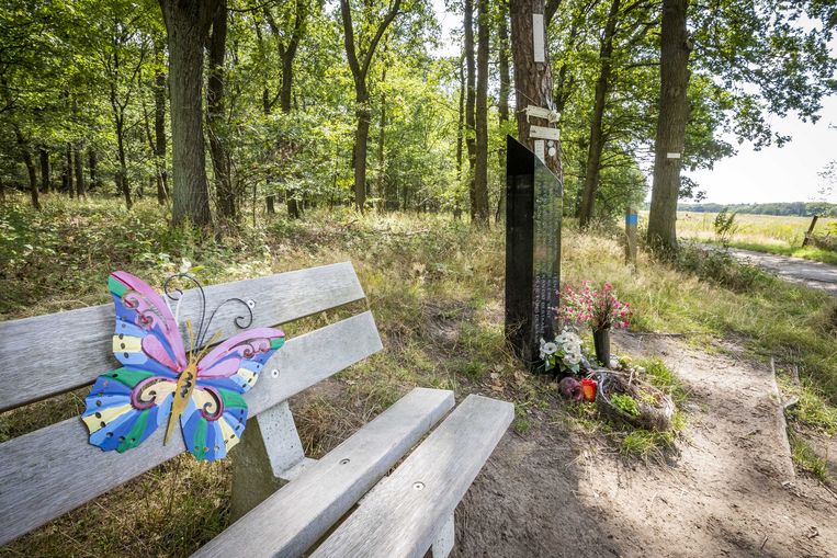 Een vlinder hangt op het bankje bij het monument op de Brunssummerheide, waar het lichaam van de 11-jarige Nicky Verstappen werd gevonden. Beeld ANP