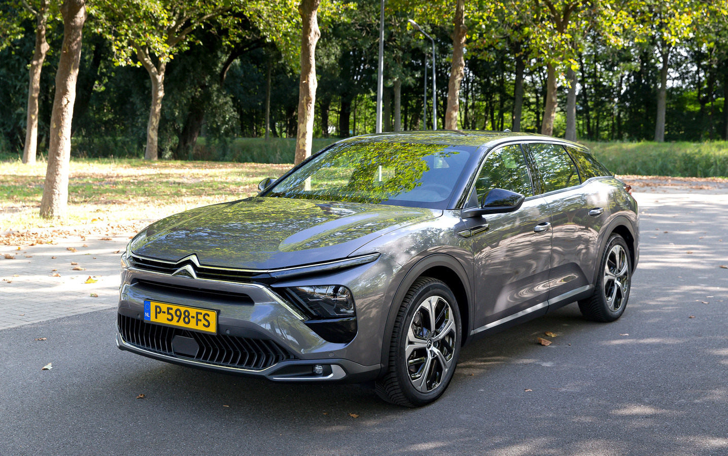 Citron C5 Typische Mngel