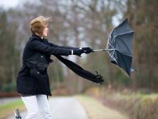 De la pluie et du vent au menu