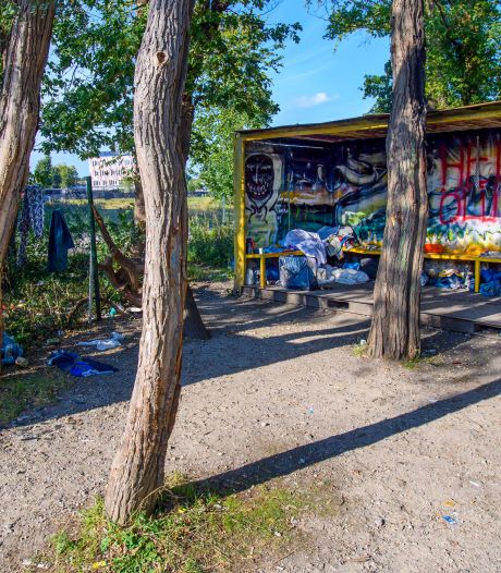 Container voor daklozen in Bergen is blijvertje: ‘Weghalen verplaatst het probleem’