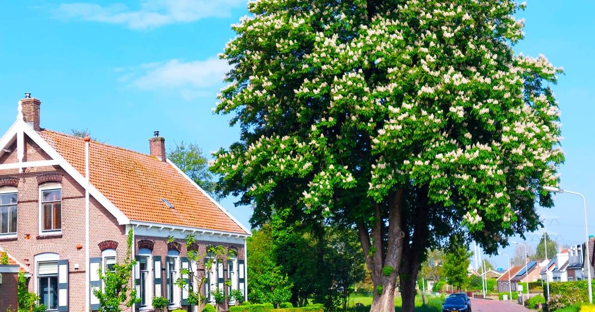 MIJN FOTO | Rust in het goede dorp