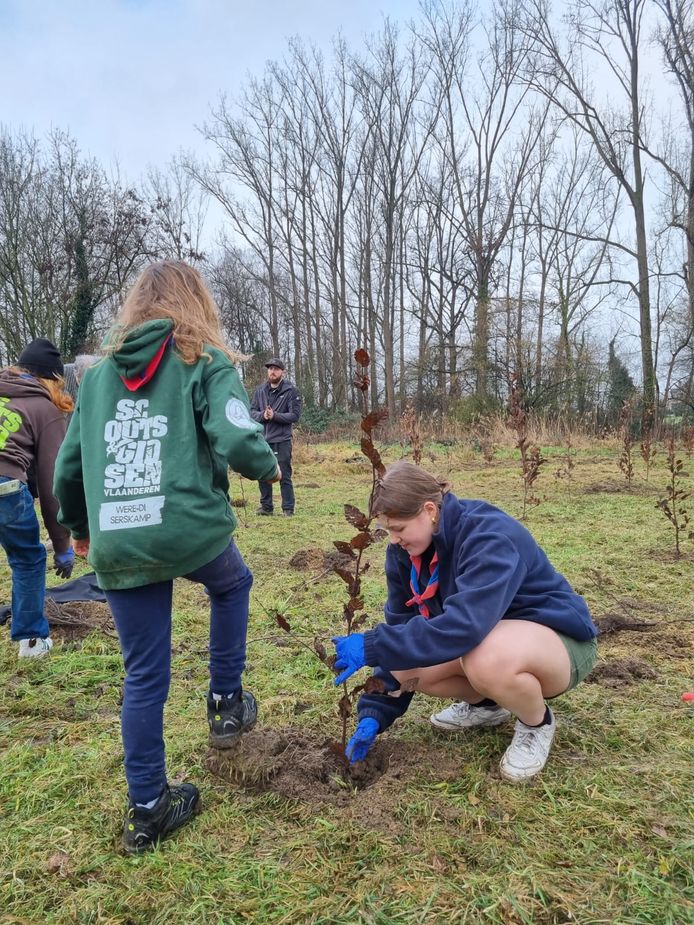 Scouts Serskamp plant nieuw bos aan.